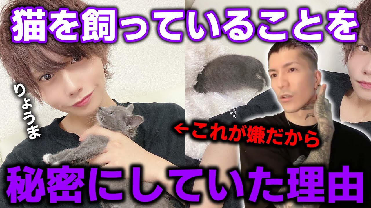 実は猫を飼っていたふぉいが秘密にしていた理由【Repezen Foxx｜レペゼンフォックス 】