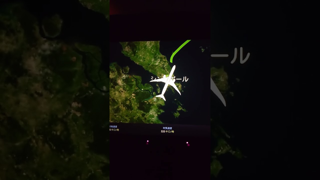 関空→シンガポール到着🩷ほとんど寝ないまま早朝に到着💦