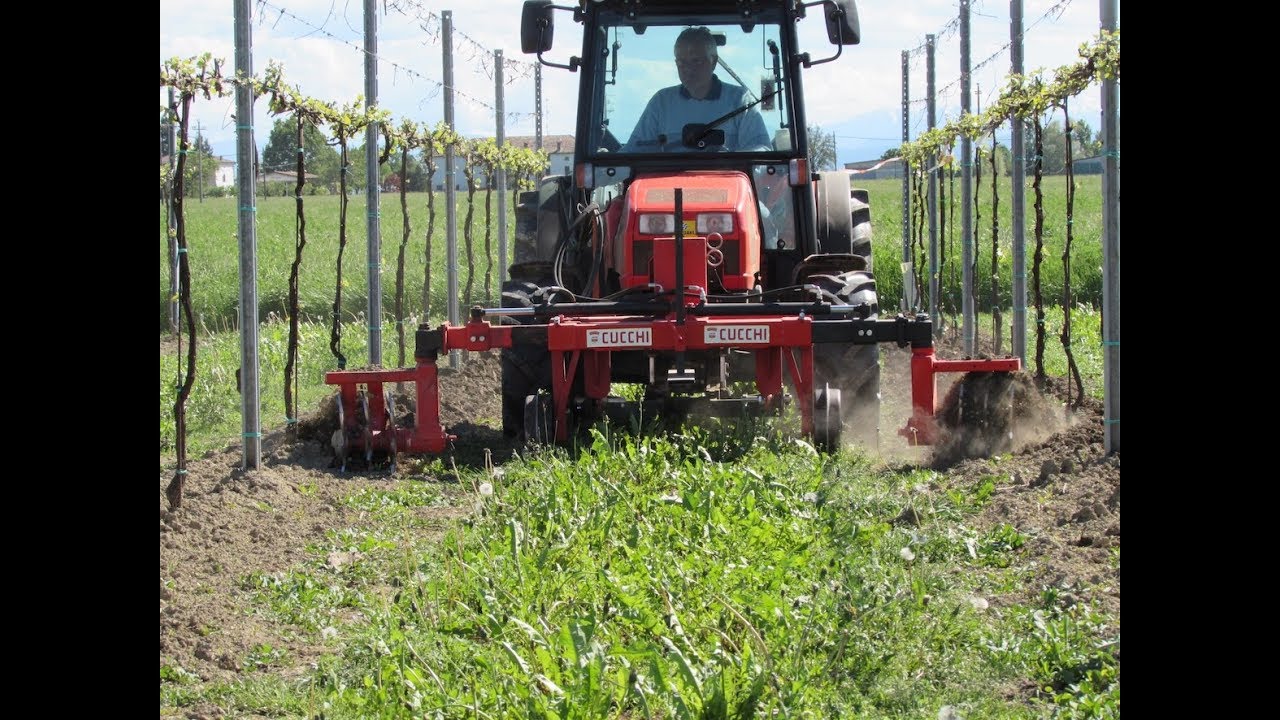 Diserbo meccanico rollhacke disques &eacute;motteurs Bio Sun per vigneti e frutteti