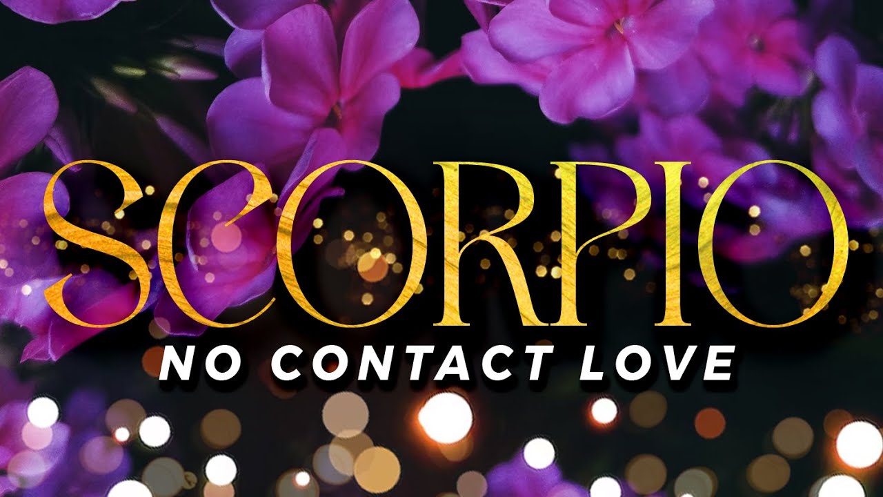 SCORPIO No Contact - Learning Their Lesson & Realising Your Value | Aug9-15