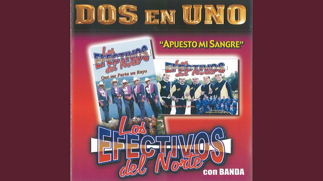 Orden De Cateo