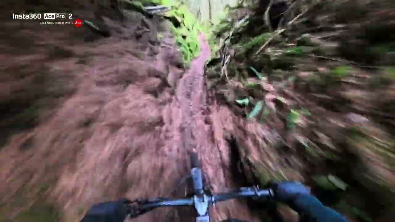 Dalby forest MTB the good stuff