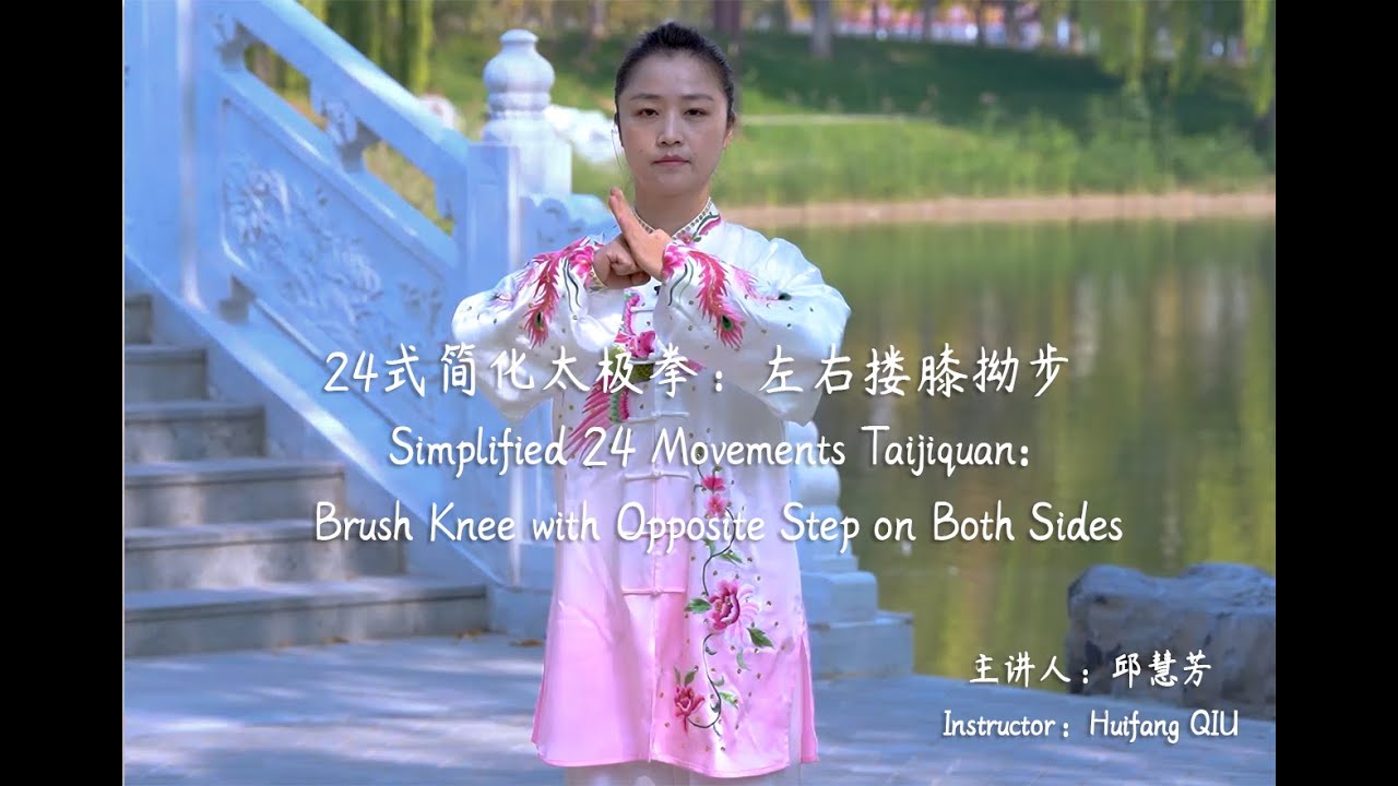 Simplified 24 Movements Taijiquan: Brush Knee with Opposite Step on Both Sides