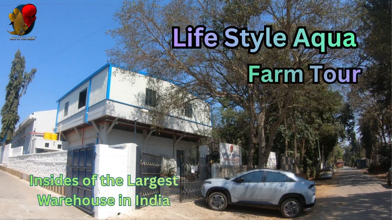 Lifestyle Aqua Wear House Farm Insides