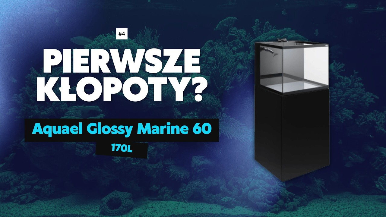 Małe problemy? Rafa rośnie dalej! Aquael Glossy Marine 60 &ndash; Część 4