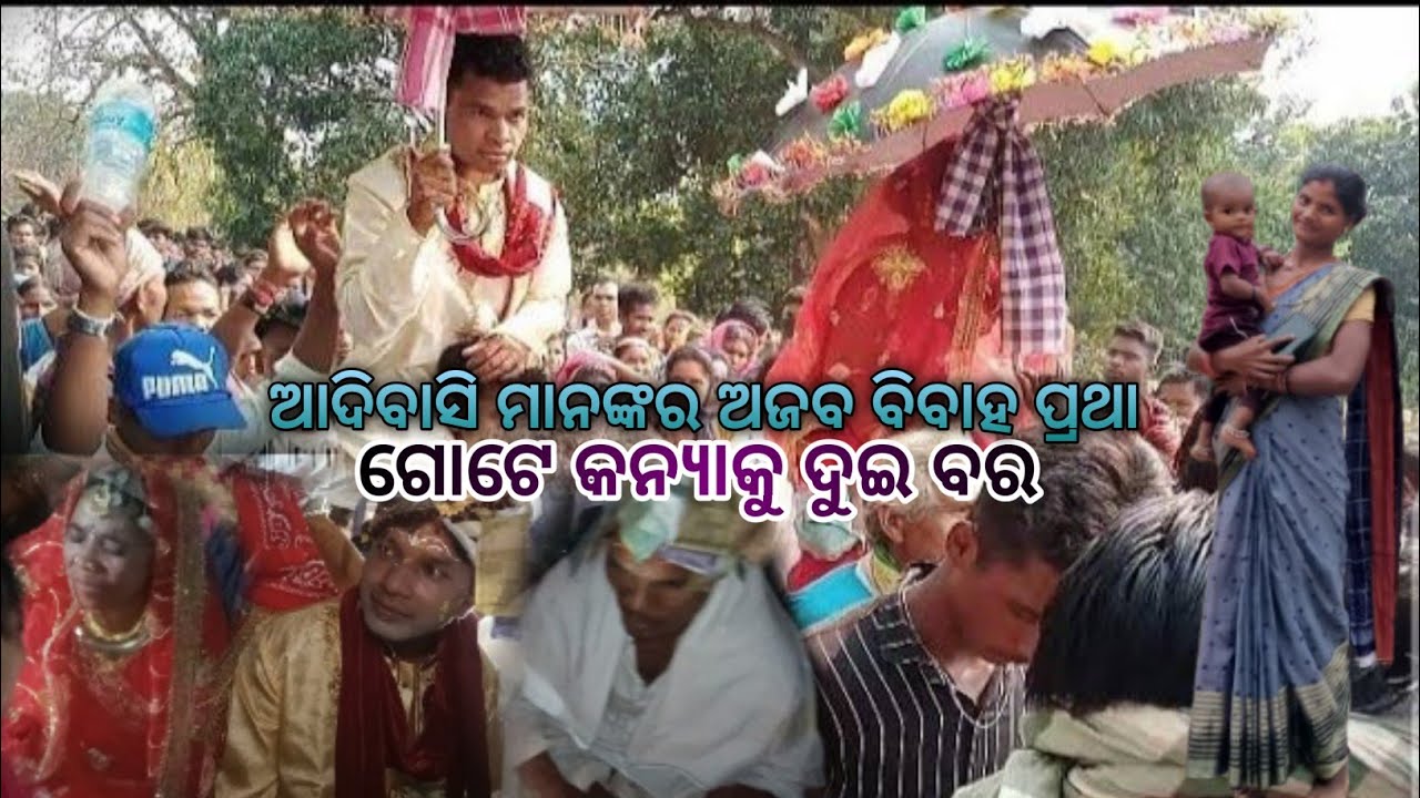 କନ୍ଧ ସମ୍ପ୍ରଦାୟର ଅଜବ ବିବାହ ପ୍ରଥା ଗୋଟେ କନ୍ୟା କୁ ଦୁଇ ବର । Kandha Tribe #triballife #adivasi