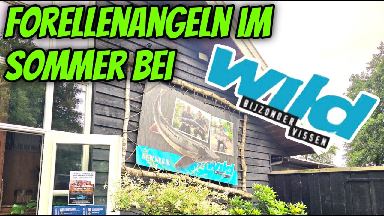 Forellenangeln im Sommer bei WILD Bijzonder Vissen #forellenangeln #angeln #vissen