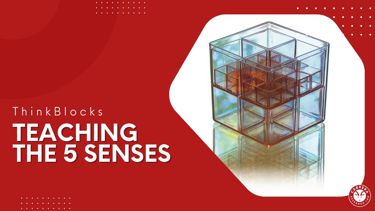 Using ThinkBlocks to teach the five senses | ThinkBlocks