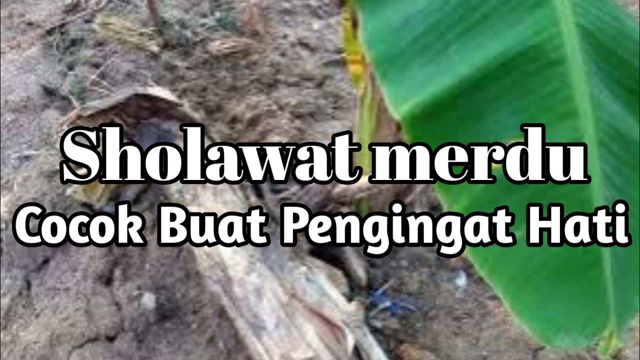 SHOLAWAT MERDU COCOK BUAT PENGINGAT HATI