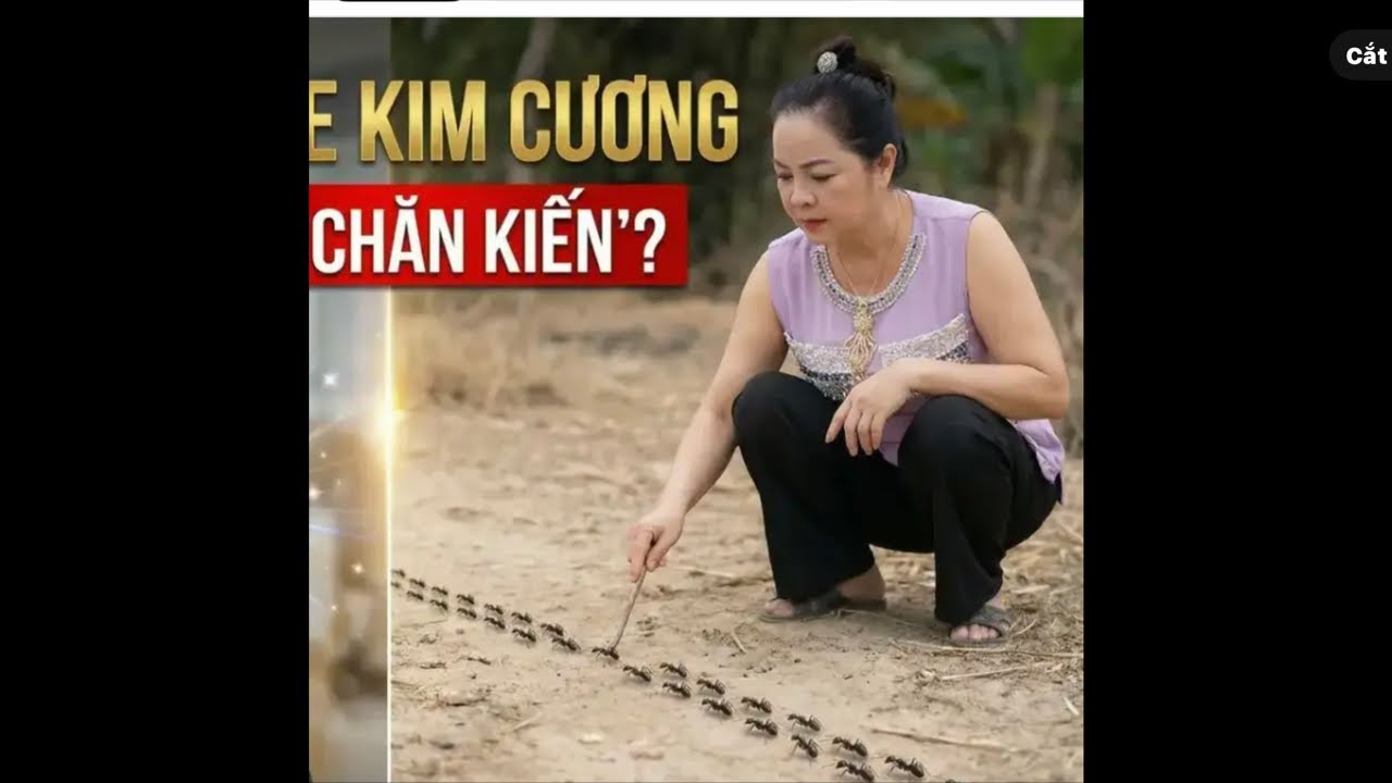 Police Síp Cho Phép HKD đi Chữa Bệnh Sau 2 Tuần Sẽ Trợ Lại?Giấc Mơ Dời Thủ Đô Đưa Nổ Đi Chăn Kiến?