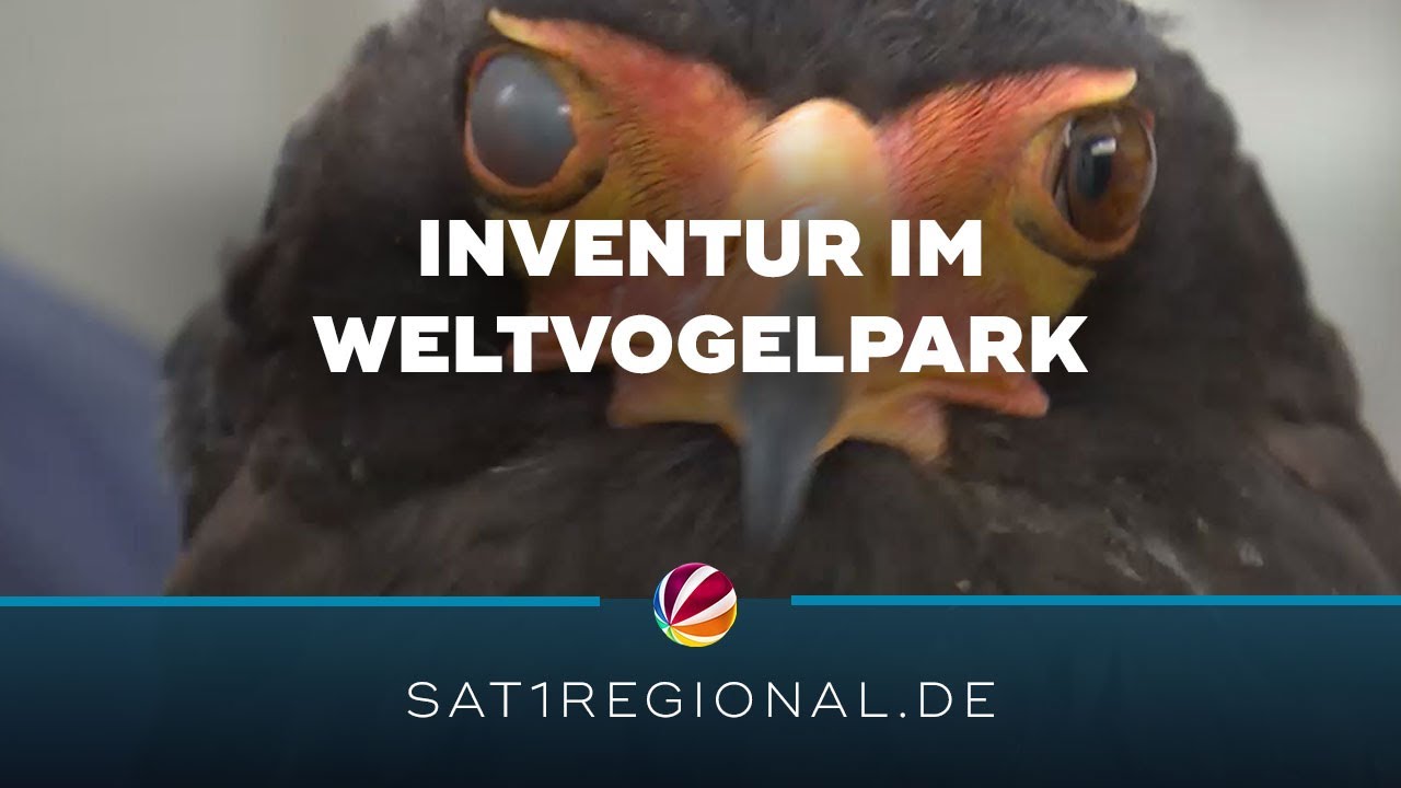 Inventur im Weltvogelpark Walsrode