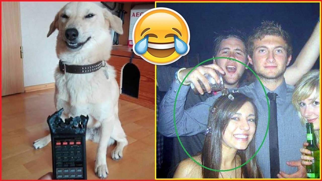 Right Moment Pics That Show You The Perfect Fails 😂😂😂