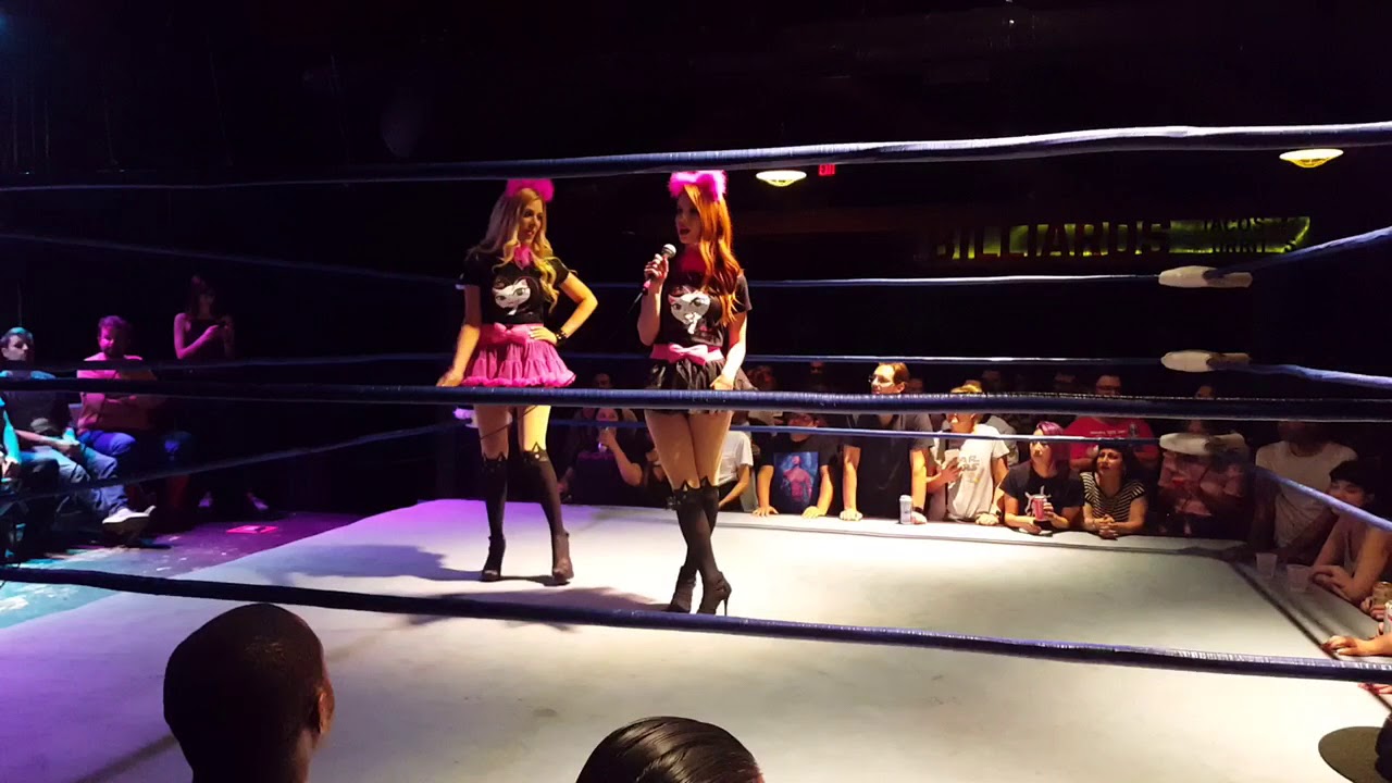 Wrestling for Rescue bennifitting The Cat Club