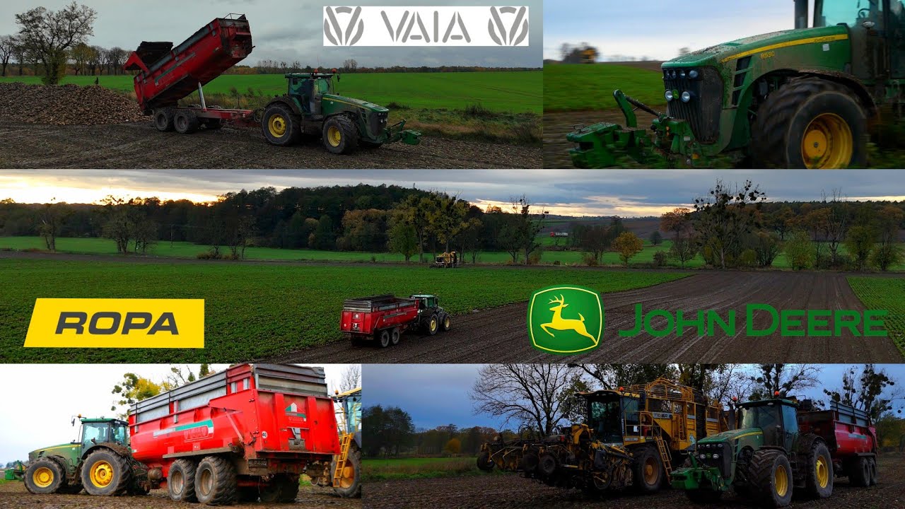 John Deere 8530 | ROPA Tiger 6 | Wykopki 2025