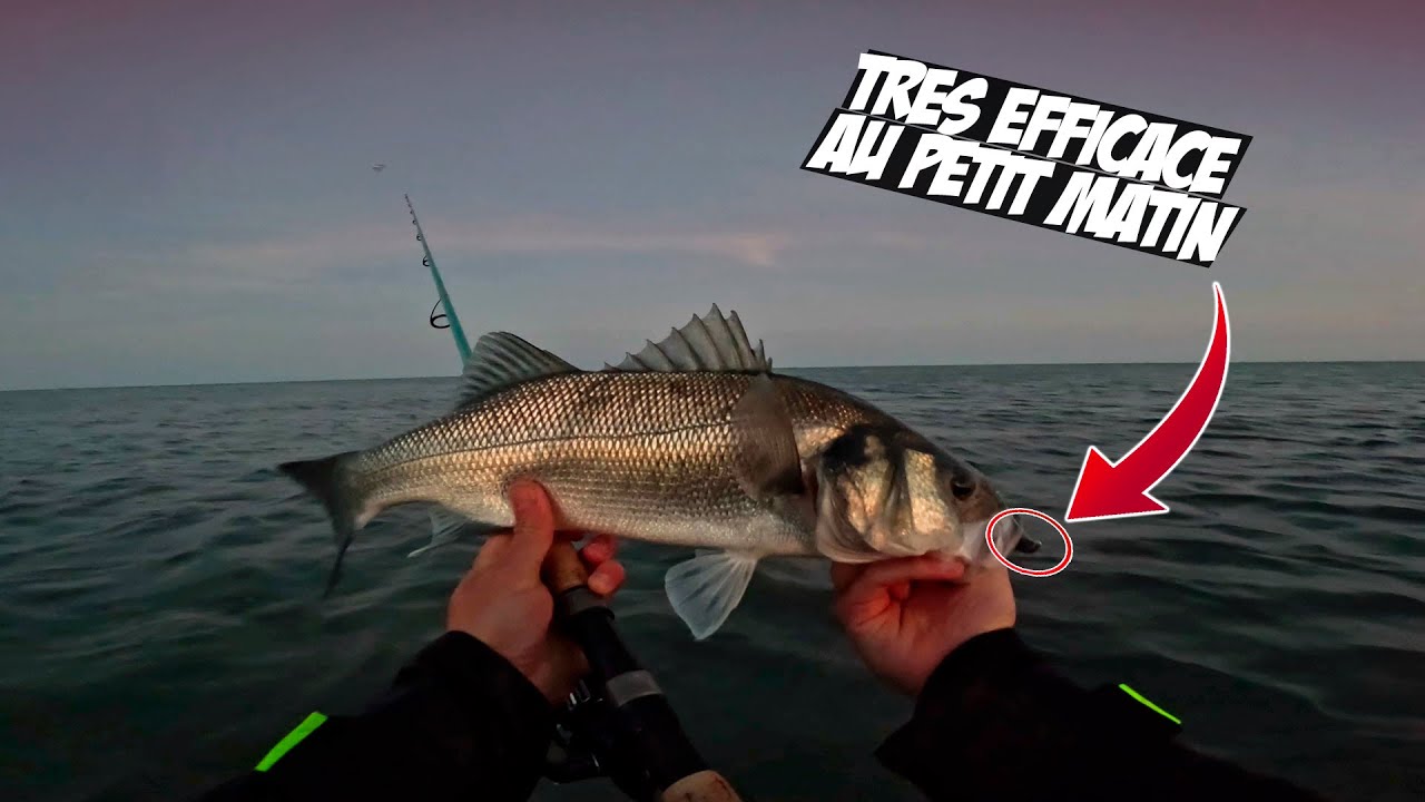 COMMENT PÊCHER FACILEMENT DU POISSON DU BORD AVEC UNE TECHNIQUE ULTRA SIMPLE ? 🎣