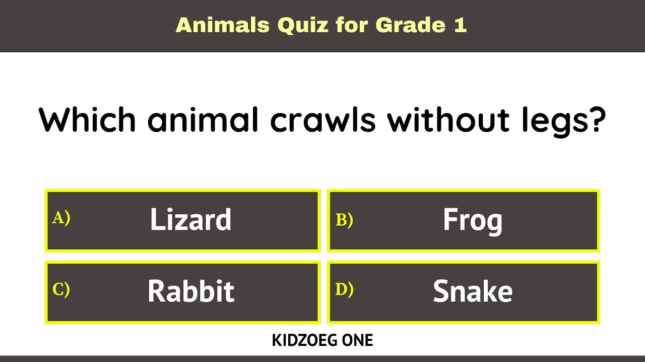 Animals Quiz for Grade 1 Kids | 12 Questions to Learn Common Animals Easily | General Knowledge Test