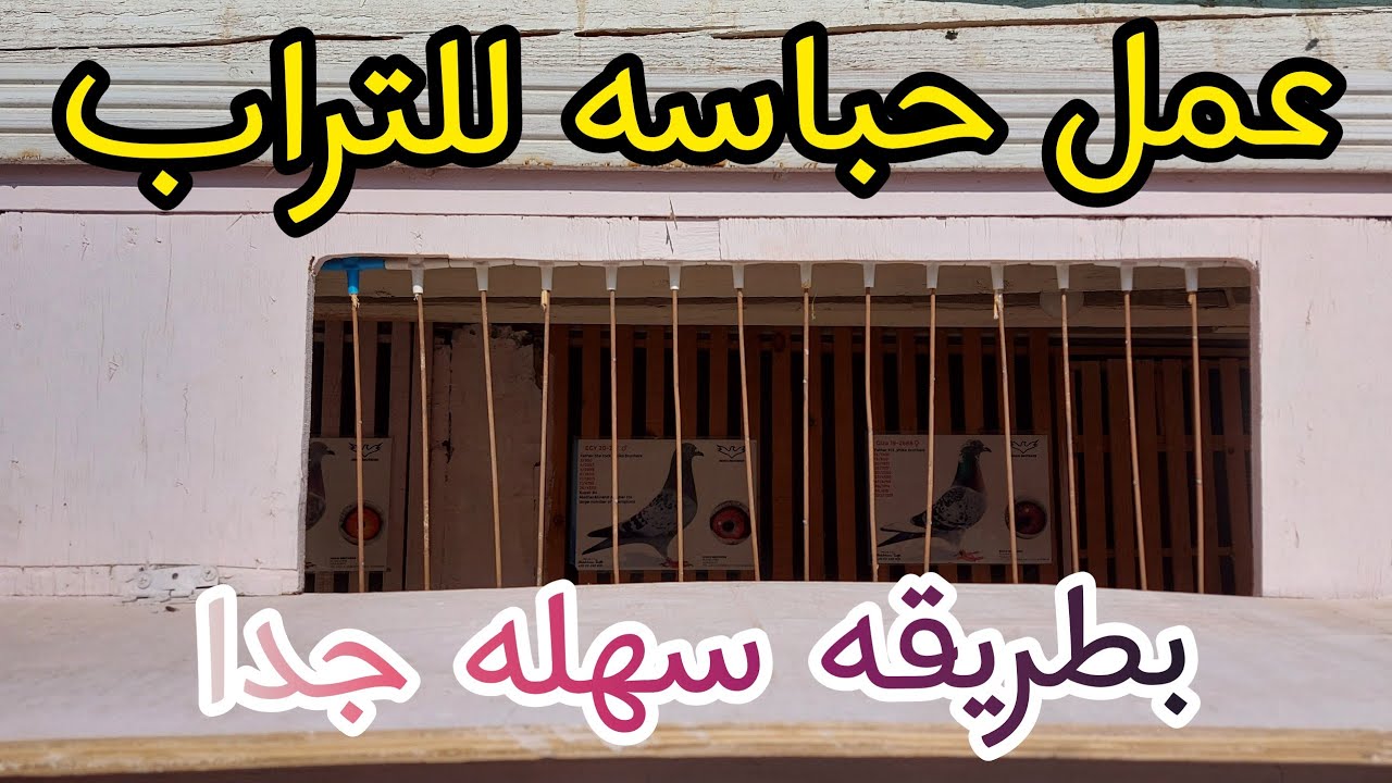 اسهل طريقه لعمل حباسه للتراب للحمام  #الظاهر_لوفت #الحمام_الزاجل #عشق_الزاجل #ملوك_غوايه_الحمام