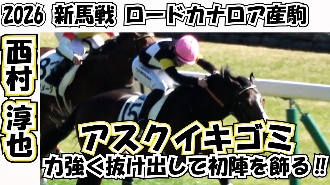 【新馬戦2026】⑮アスクイキゴミが力強く抜け出して初陣を飾る‼ 現地映像