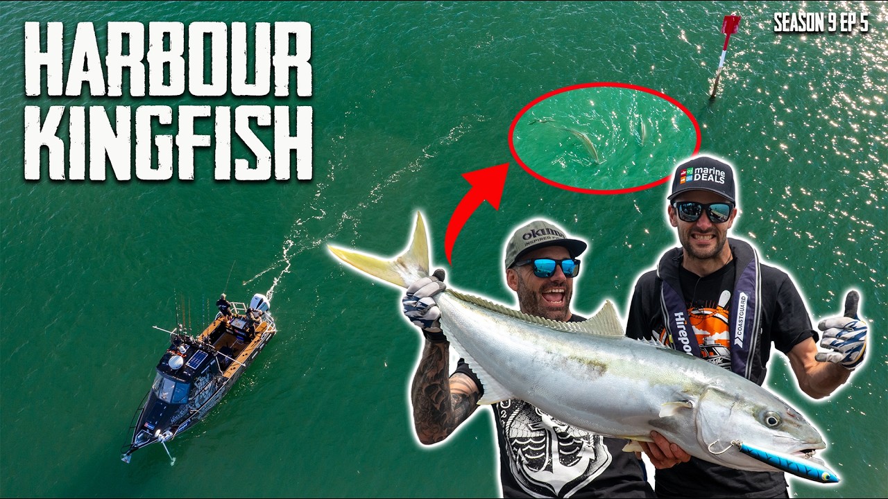 Kingfish Madness: Epic Harbour Fishing With Stick Bait Lures In Tauranga S9 EP5