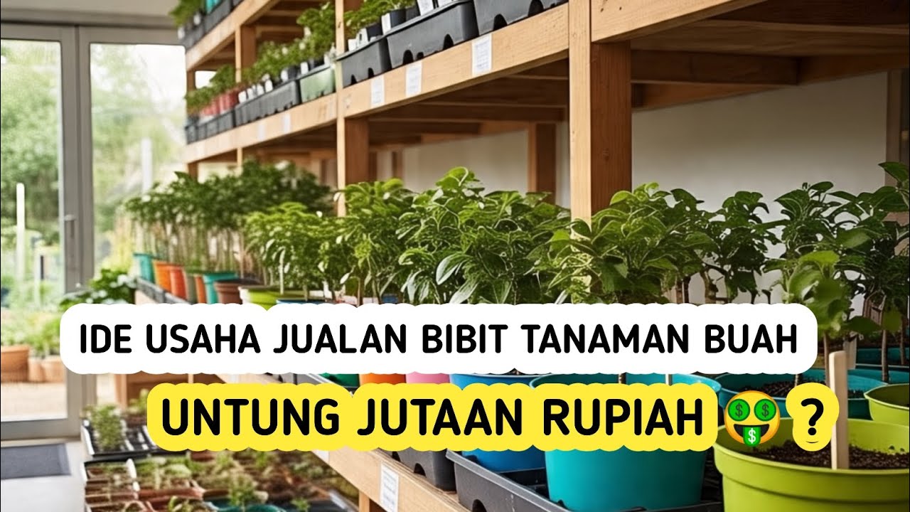Peluang Usaha Bibit Tanaman Buah Berpotensi Menghasilkan Puluhan Juta Perbulan ?