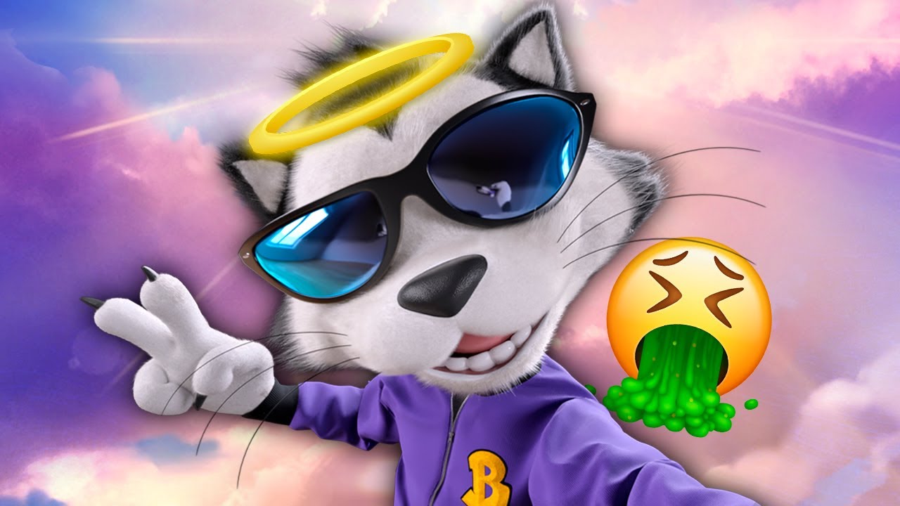 El gato de Bubbaloo HA MUERTO