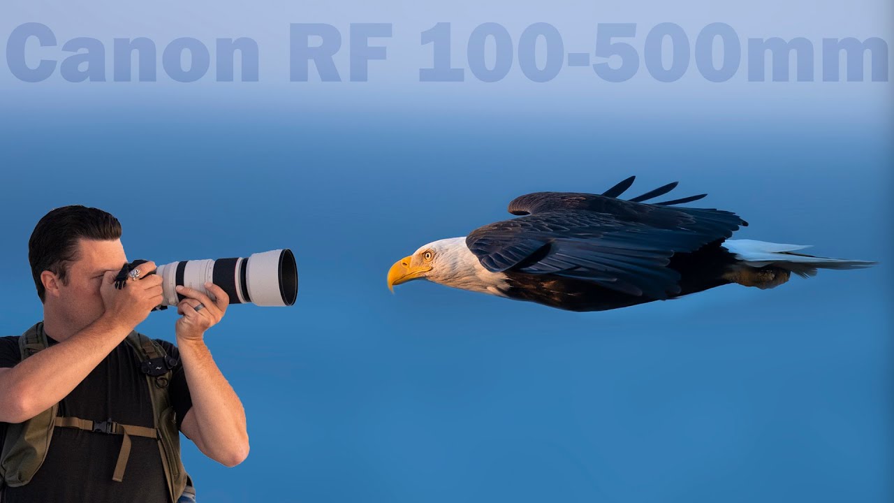 Долгосрочный обзор объектива CANON RF 100-500mm: станет ли этот зум-объектив лучшим?
