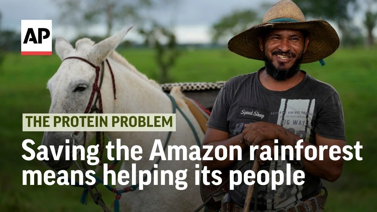 Saving the Amazon rainforest means helping its people | The Protein Problem