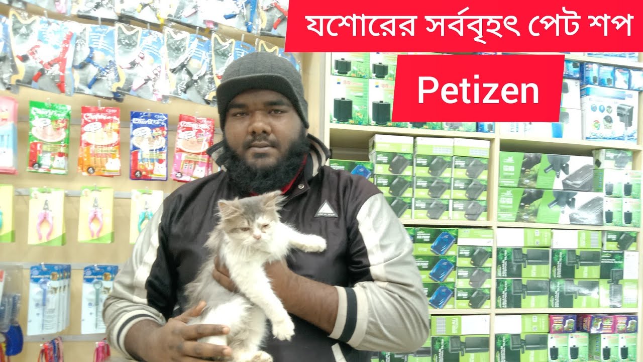 যশোরে এই প্রথমবার সংযোজন হলো পার্শিয়ান বিড়াল ও কুকুরের সর্ববৃহৎ পেট শপ 