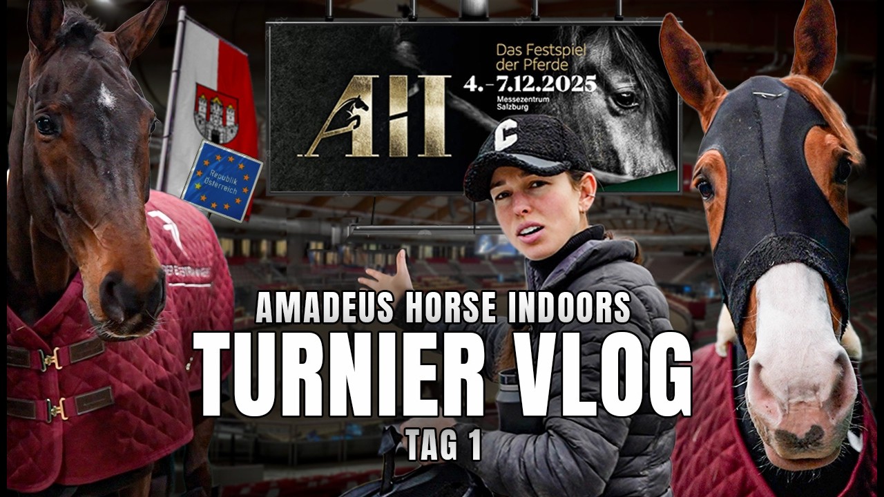 Amadeus Horse Indoors Vlog Tag 1