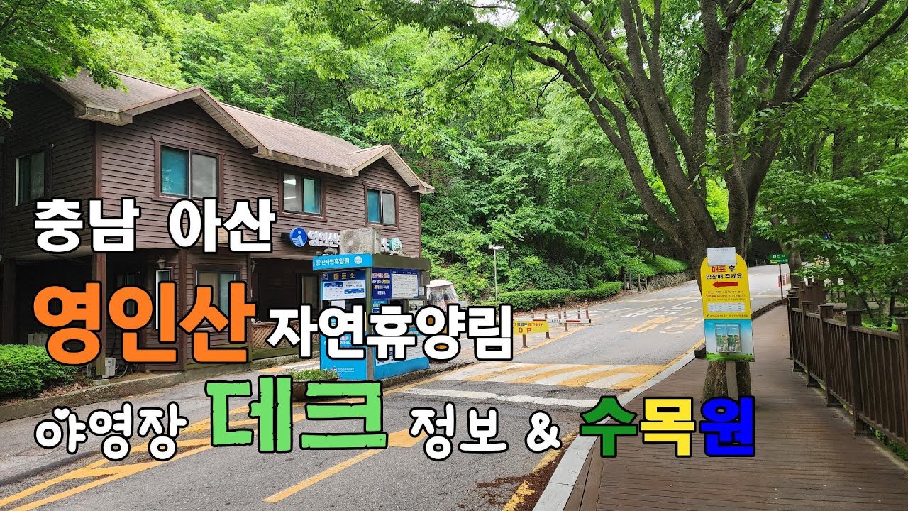 충남아산 영인산자연휴양림 야영장 사이트리뷰