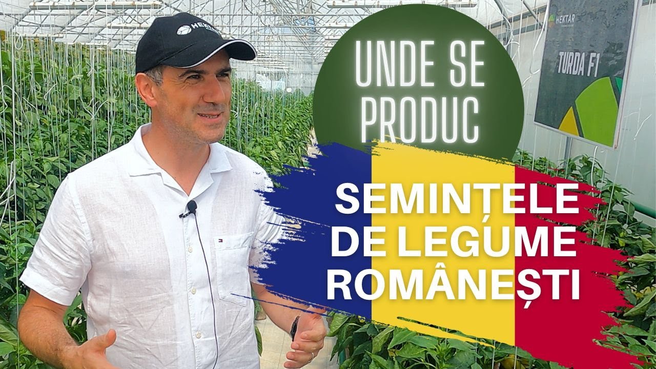 Unde se produc semințele de legume românești