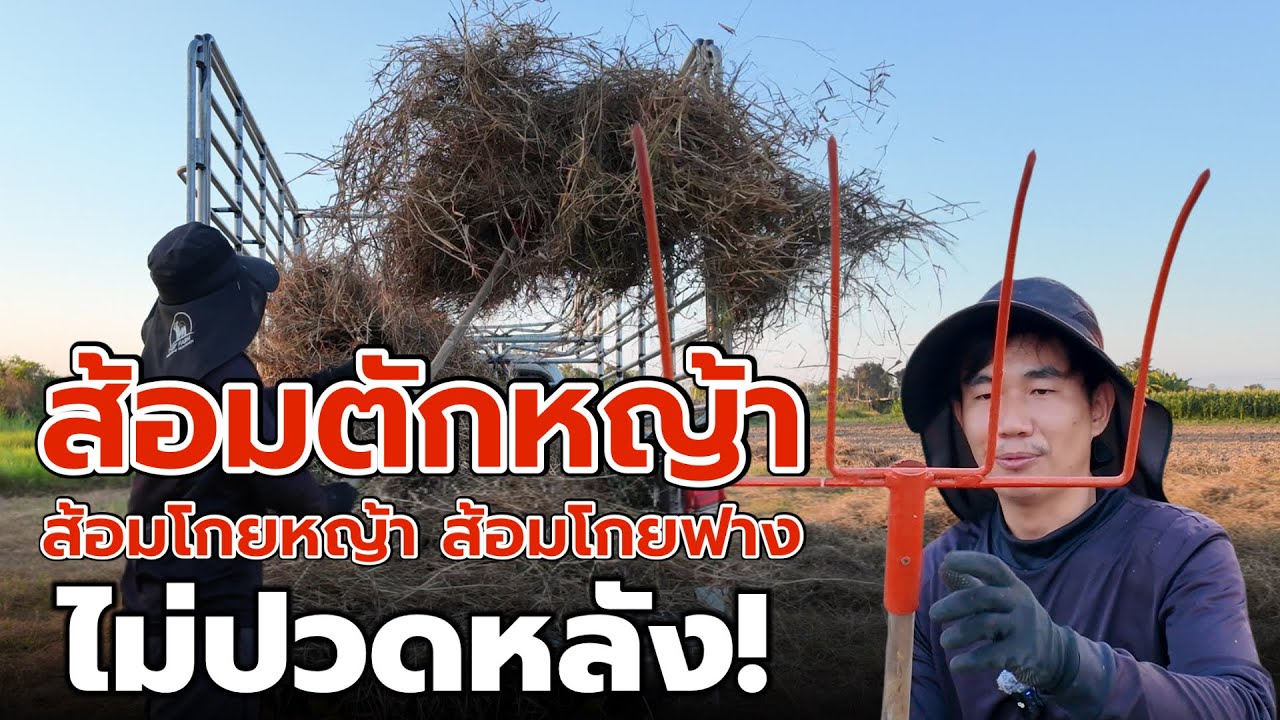 ไม่ปวดหลัง ใช้เถอะ‼️ส้อมตักหญ้า ส้อมโกยหญ้า ส้อมโกยฟาง