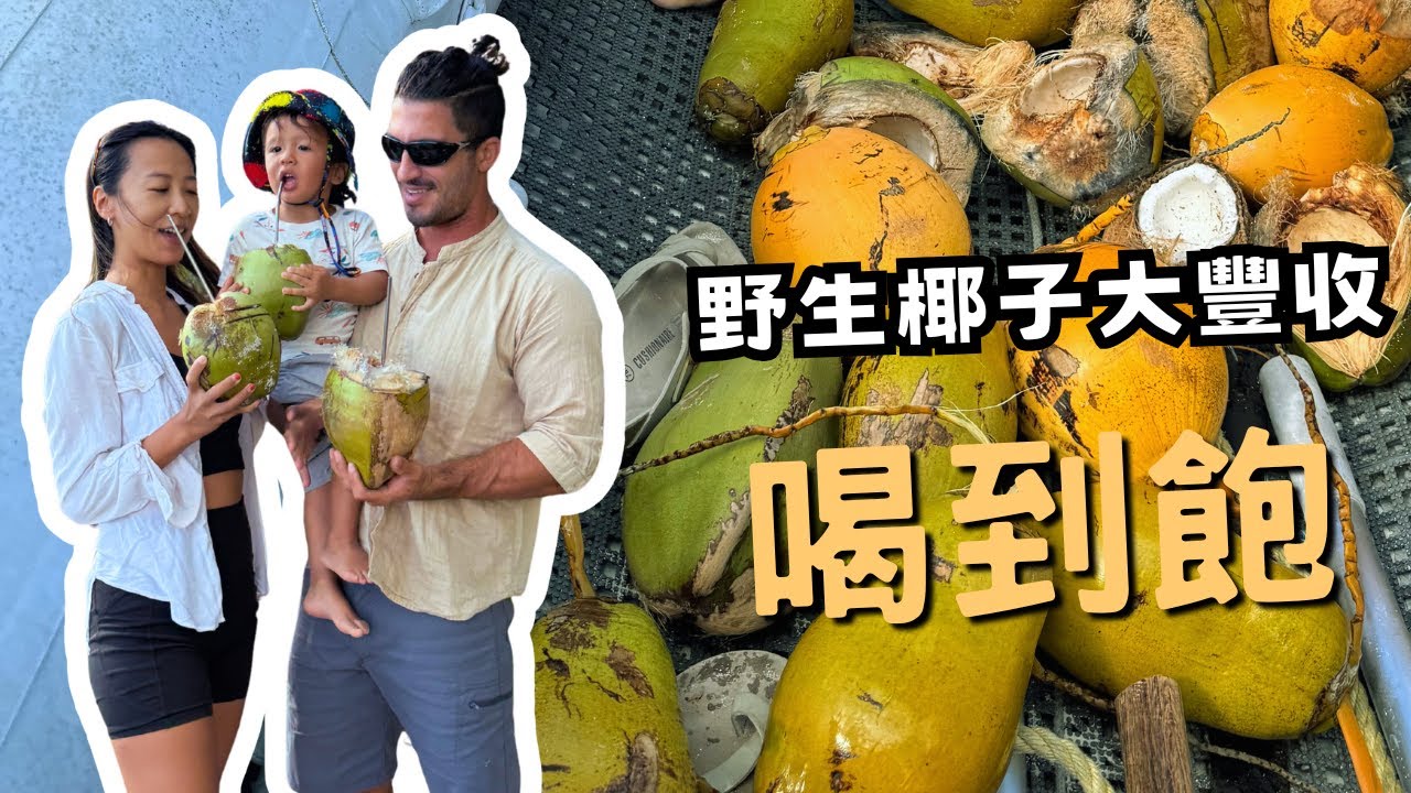 我們找到了滿滿野生椰子樹的小島！！這麼多椰子我們要怎麼吃？！