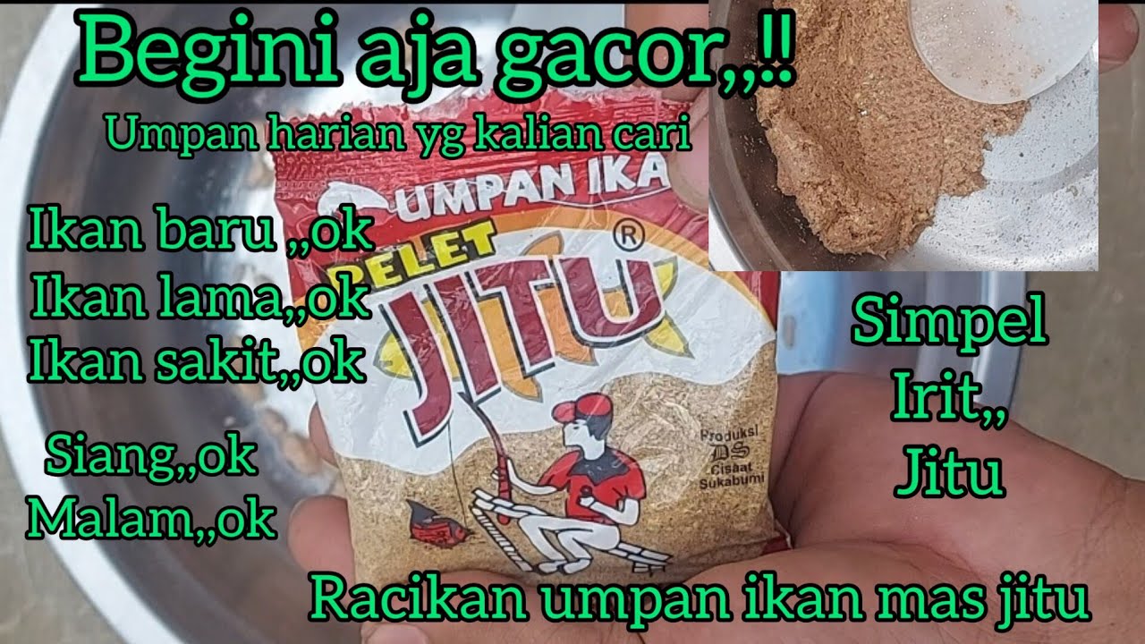 ANGKUT IKAN LAMA JUGA,,!! umpan ikan mas harian paling jitu,,siang malam ok