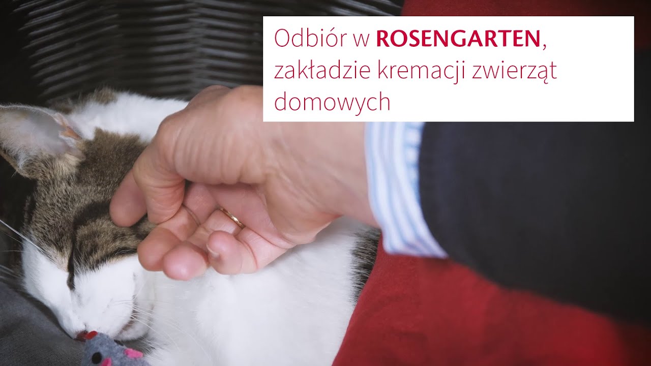 Odbiór w ROSENGARTEN, zakładzie kremacji zwierząt domowych