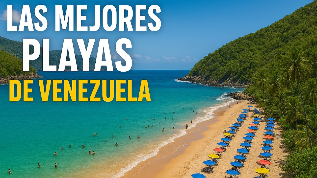 LAS 10 MEJORES PLAYAS de VENEZUELA