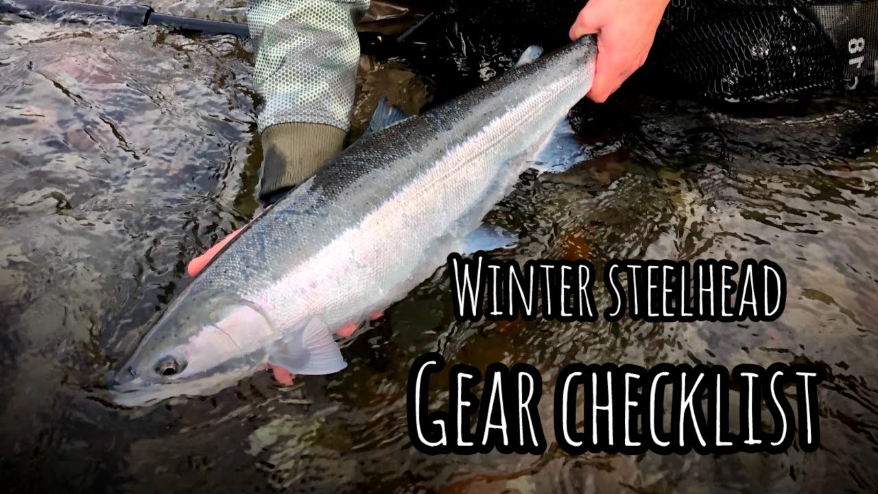 My 2025 Winter Steelhead Swinging Flies Gear Guide