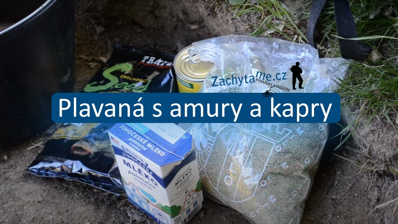 Plavaná s amury a kapry