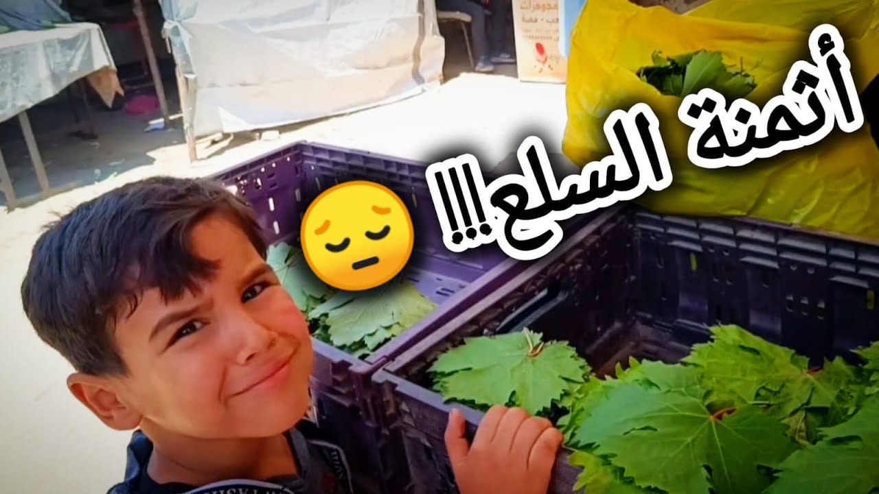 لازم كل العالم تشوف 🙁 الأسعار خيالية في سوق شمال غزة 🇵🇸