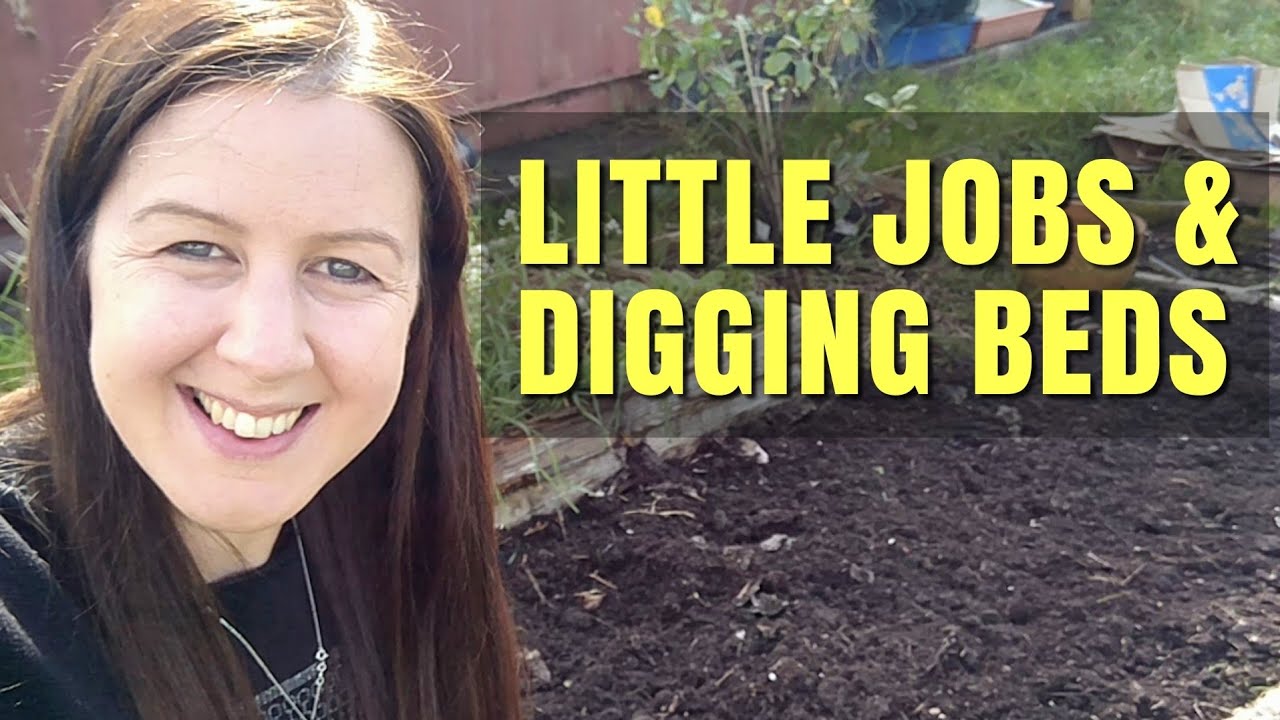 Autumn Preparation At The Allotment | A Day Of Getting Jobs Done