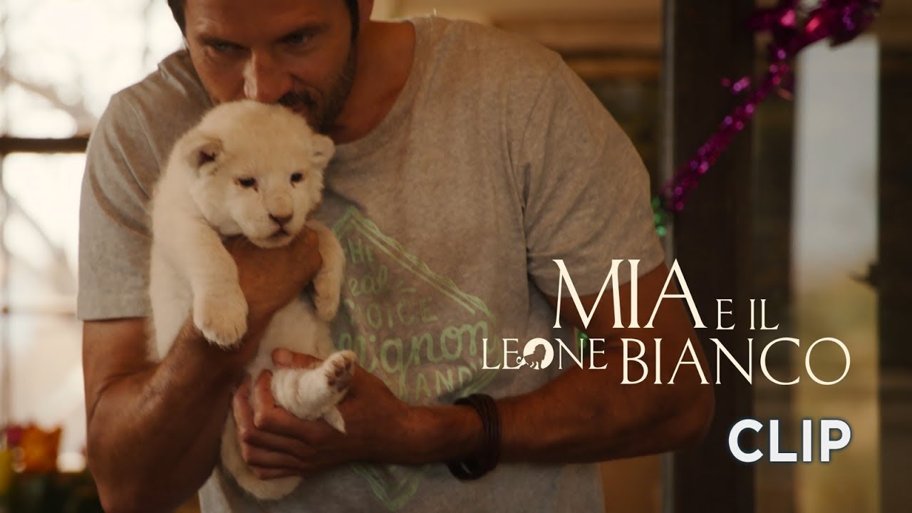 Mia e il leone bianco - Scena in italiano 
