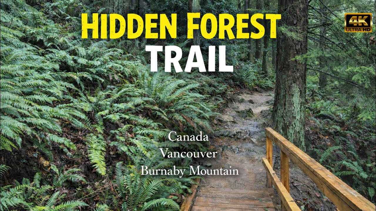 Hidden Forest Trail 🌲 | A Peaceful Walk in Vancouver, Canada