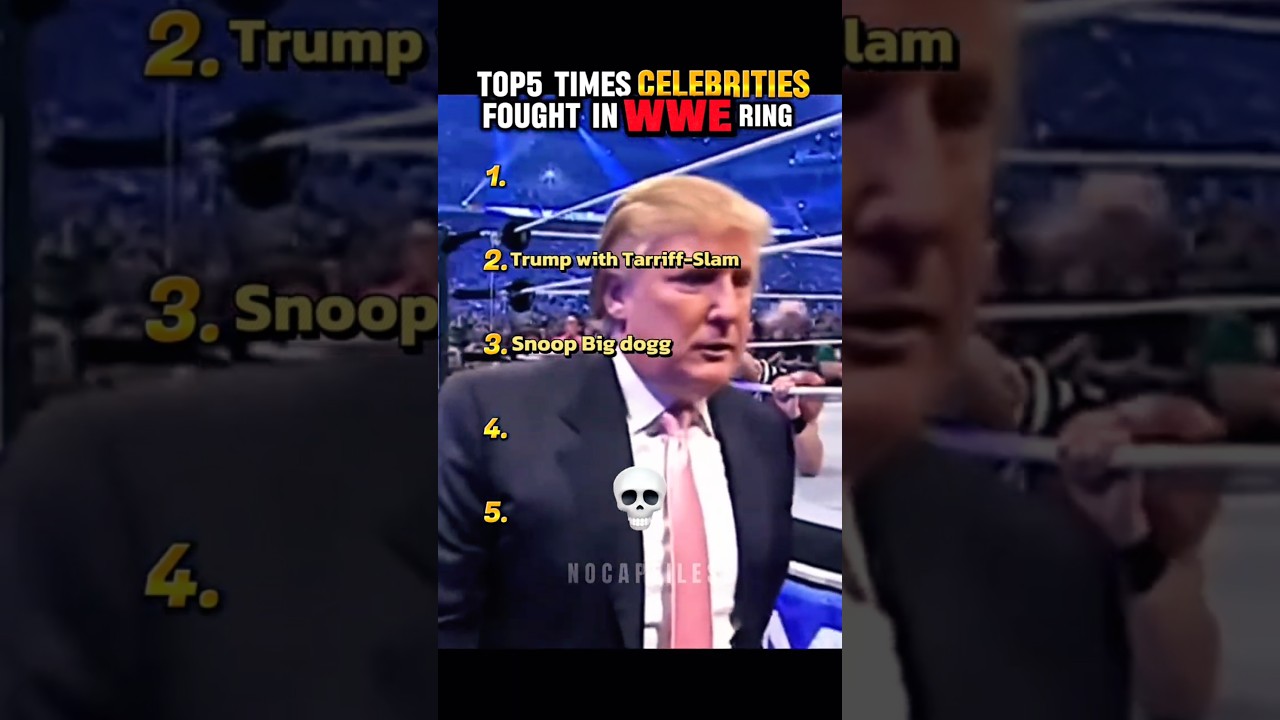 Funniest Celebrity Fights in WWE History