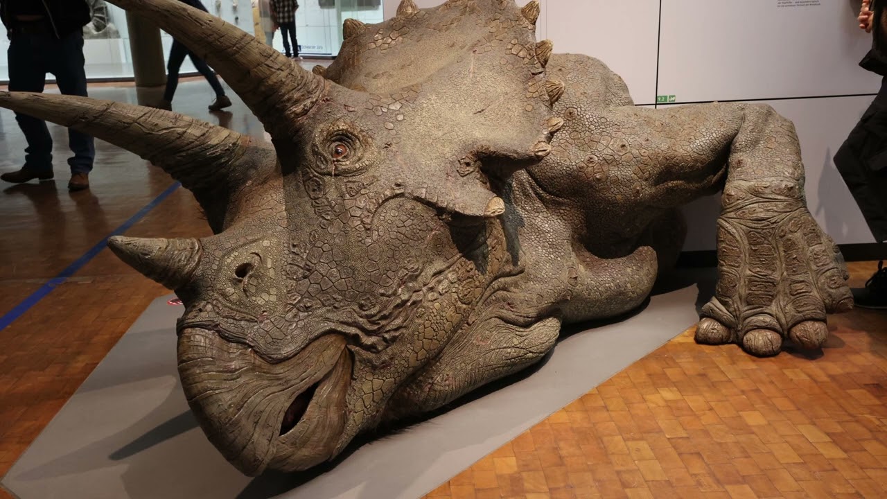 Naturkundemuseums Stuttgart