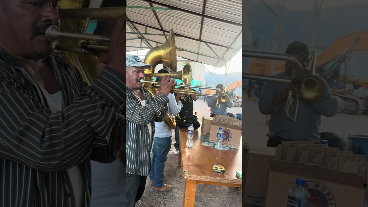Los hojito de mi Elena música clásica de Pedro infante 