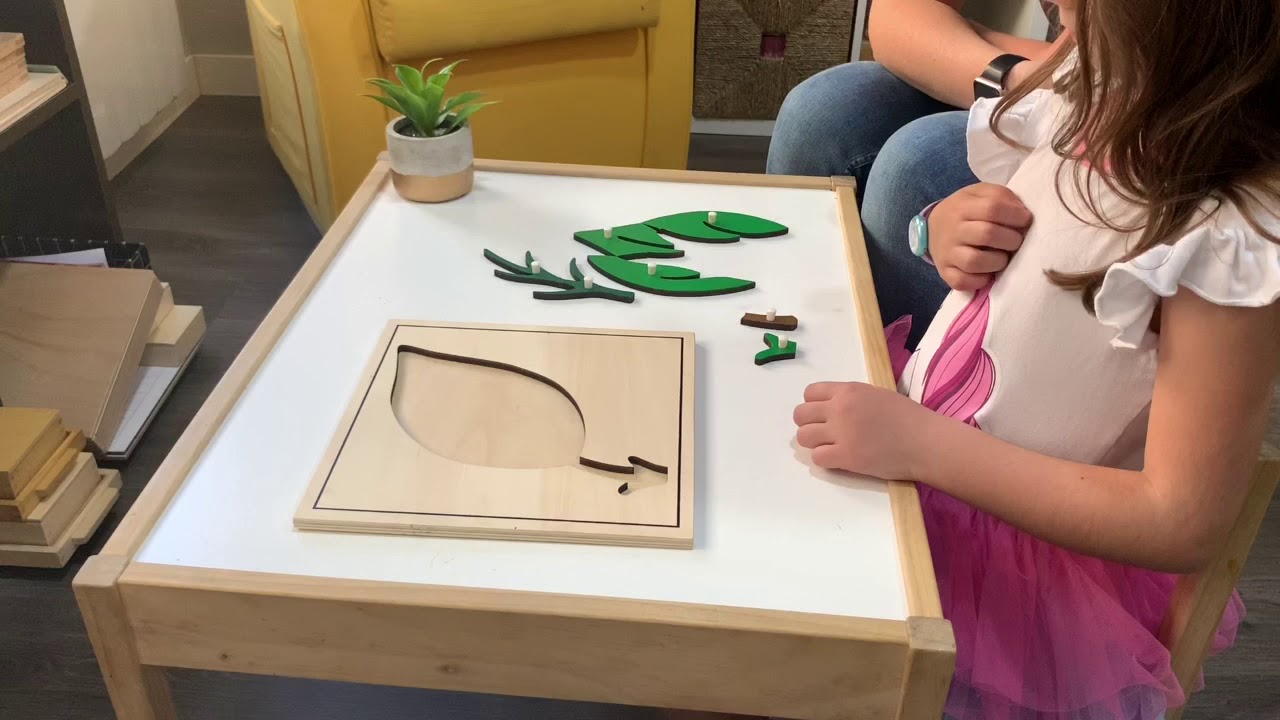 Partes de la hoja Montessori
