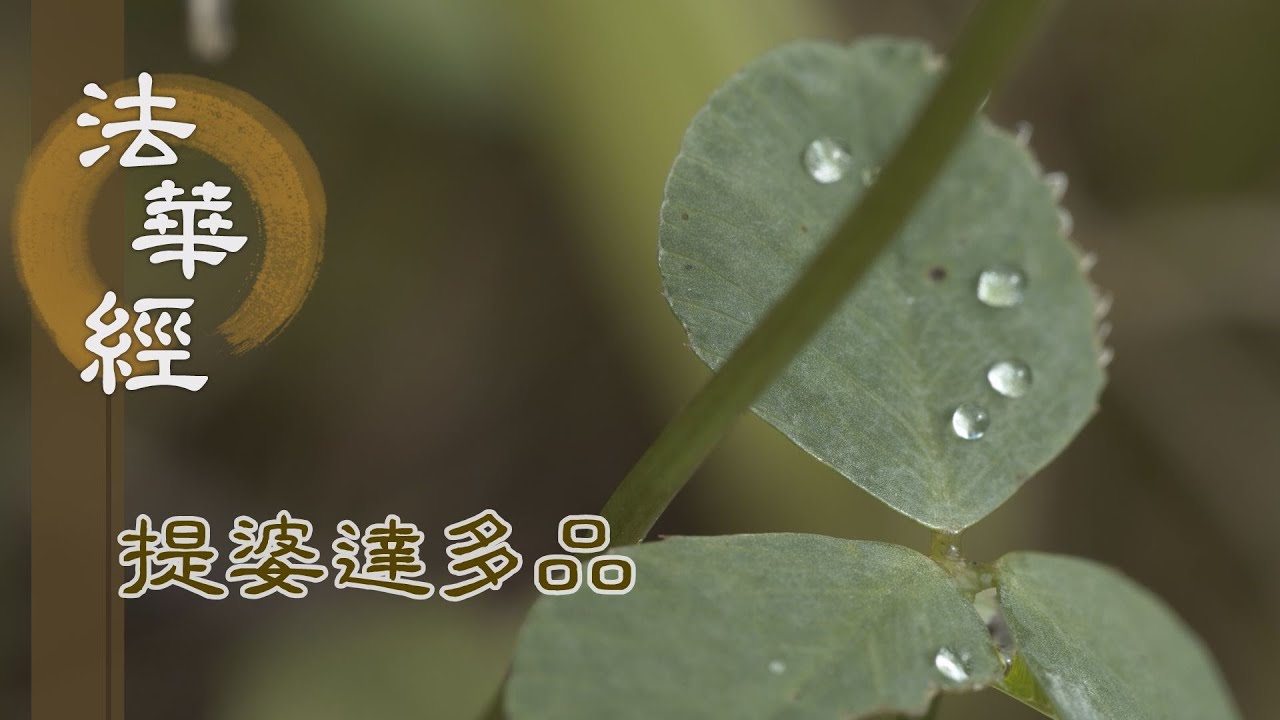 【靜思妙蓮華】法華經提婆達多品 - 龍女成佛 二賢信受 - 20230227 第1359集