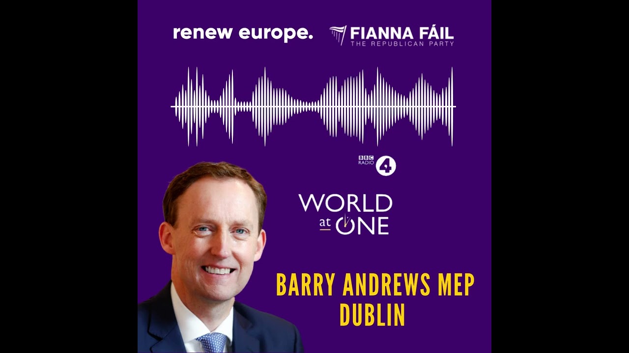 Barry Andrews MEP: Northern Ireland protocol, the Trade and Cooperation Agreement