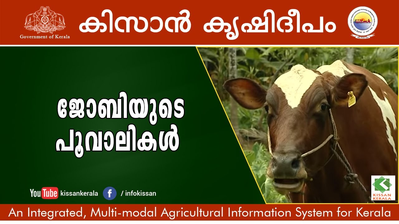 A Tale of an Innovative Dairy Farmer - Jobi Santhosh, Pathanamthitta