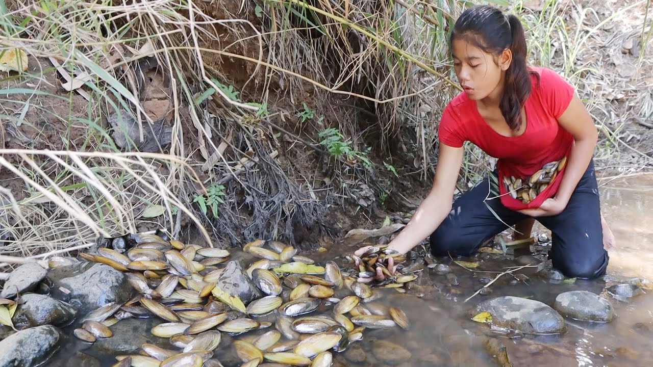 Adventure in forest: Found a lot Clam in river for food - Cooking clam for dinner